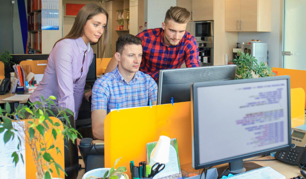 what we offer in Custom Software Development - Comprehensive IT Solutions and Cybersecurity for Businesses | Tech4UK what we offer in Custom Software Development